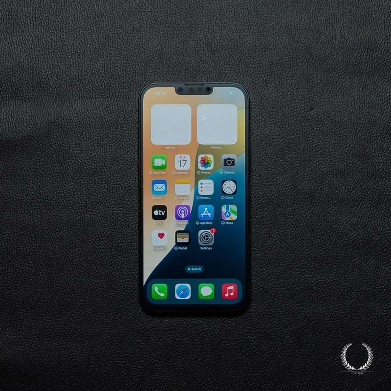 iPhone 14 Plus