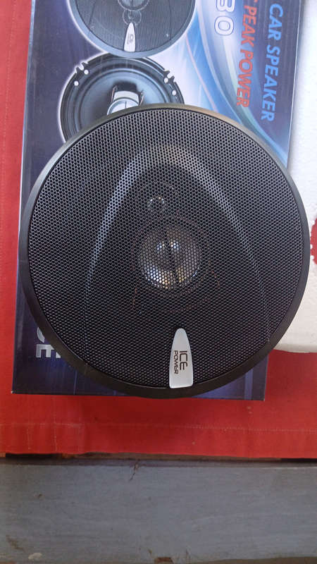 Icepower 6 inch speaker