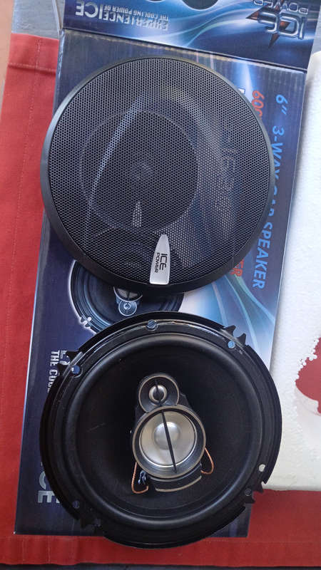 Icepower 6 inch speaker