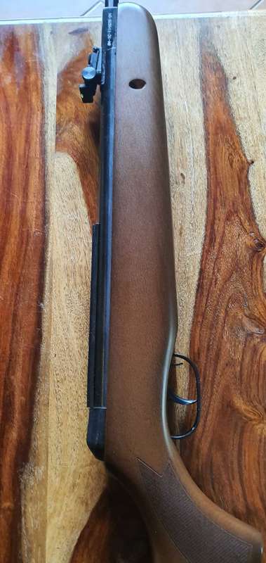 GAMO 440 hunter in absolute Immaculate condition with Rifle bag