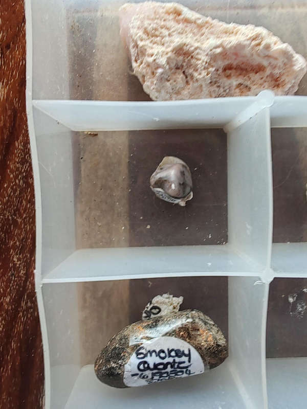 Crystal & Mineral Display Collection | Smoky Quartz, Opalite, Onyx , Obsidian & More