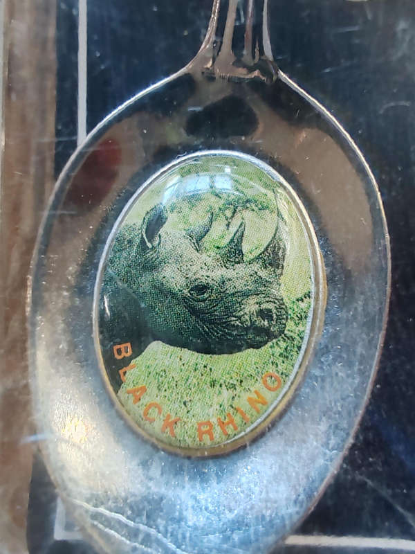 Pilansberg National Park vintage souvenir spoon