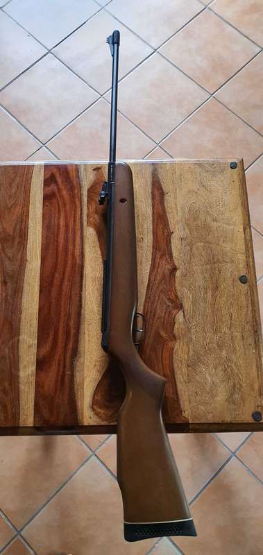 GAMO 440 hunter in absolute Immaculate condition with Rifle bag