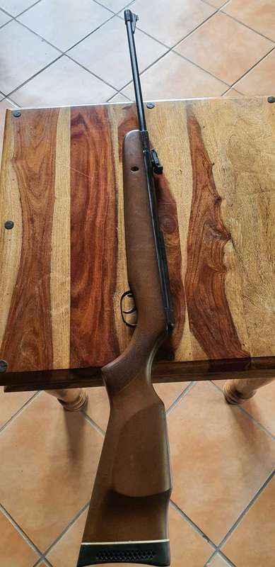 GAMO 440 hunter in absolute Immaculate condition with Rifle bag