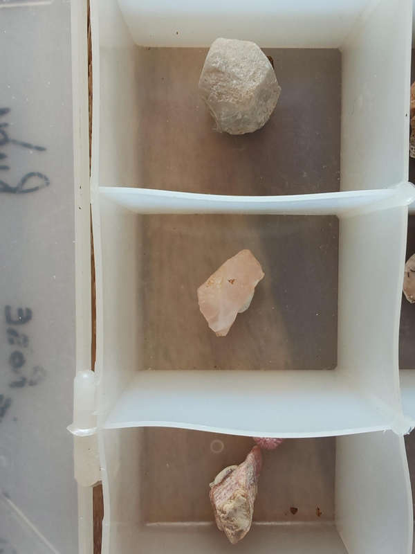 Crystal & Gemstone Collection | Stichtite, Ruby, Black Tourmaline, Citrine, Desert Rose & More
