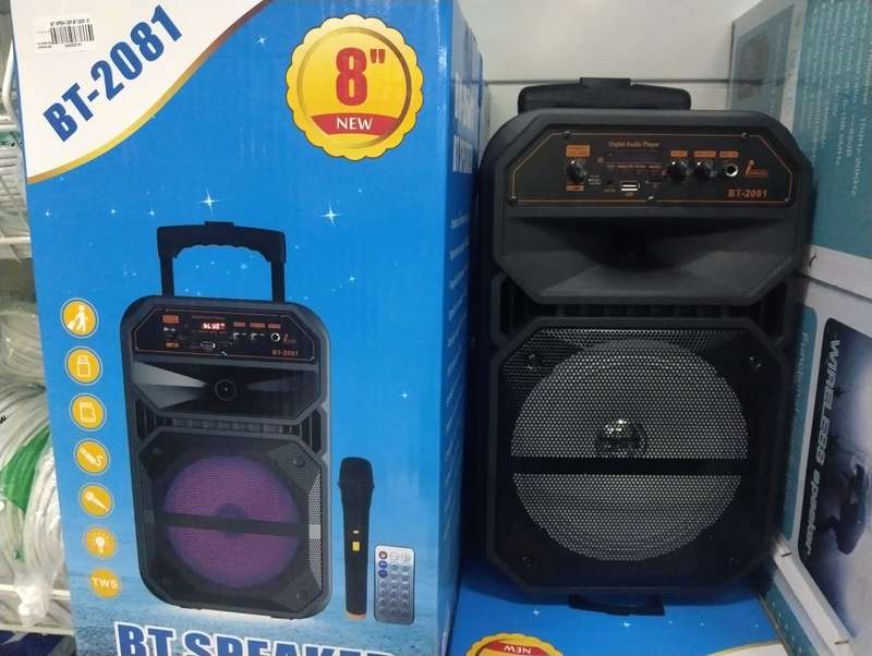 BT-Speaker BT-2081 8  Comes with Remote and Mic
