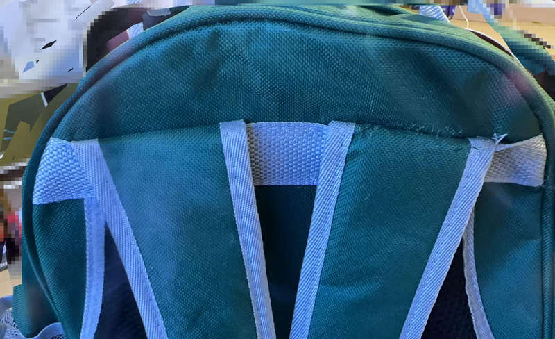 Cat Dog Bird Breathable Backpack Carrier Capsule Transparent BubbleBag Gift - Green