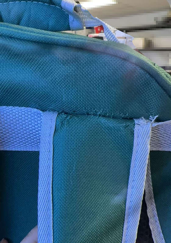 Cat Dog Bird Breathable Backpack Carrier Capsule Transparent BubbleBag Gift - Green