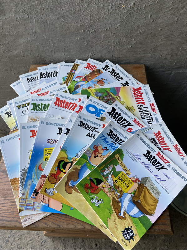 Asterix Comic Books (28 books)