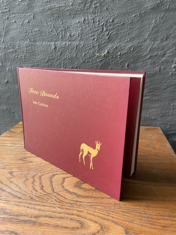 Free Bounds by Iain Guthrie