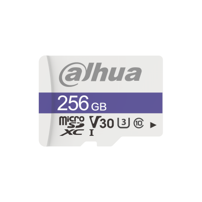 Dahlua 256 gig memory cardd