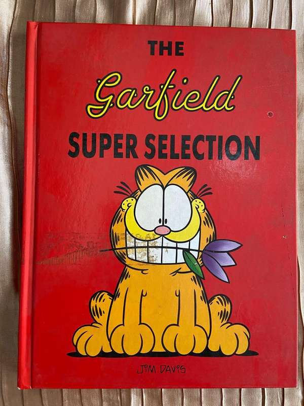 Garfield Books, Lot 5 Of 13