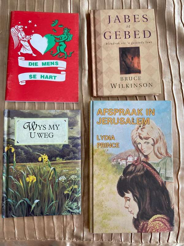Assorted Afrikaans Books, Lot 6 Of 13