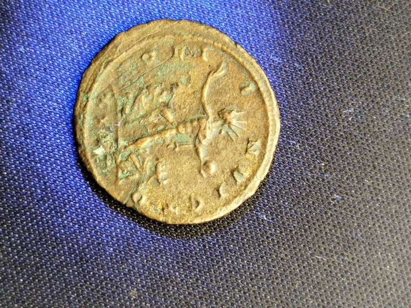 Rare Ancient Roman Antoninianus  Emperor Gallienus (AD 253268)  Diana Zoo Series