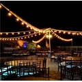 20 LED Vintage Bulb String Lights - 20M Warm White