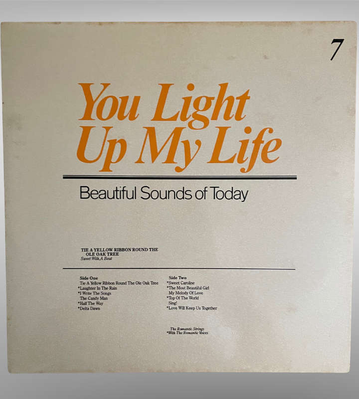 You Light Up My Life  8 LP Vinyl Box Set | Readers Digest Beautiful Sounds of Today
