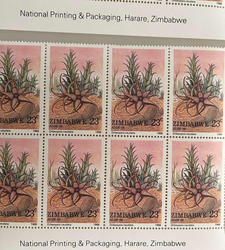 1988 Zimbabwe Aloe Stamp Lot  252 MNH Stamps  With Botanical Names  Blocks & Pairs