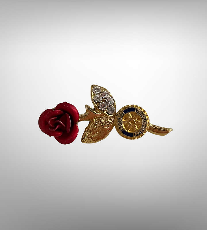 Rotary International 8-Piece Collection | Brooches, Pins, and Pendant | Gold Vermeil, Faux Diamond