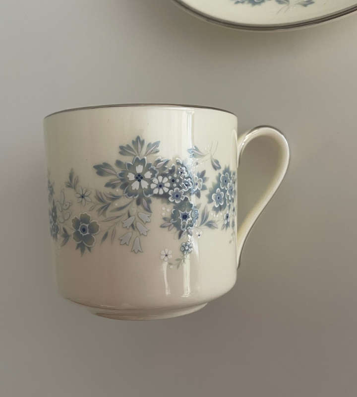 Vintage 27-Piece Michelle by Royal Doulton H 5078 - Romance Collection - Discontinued Blue & White