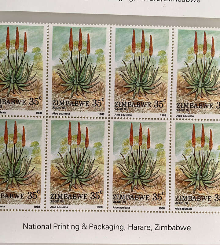 1988 Zimbabwe Aloe Stamp Lot  252 MNH Stamps  With Botanical Names  Blocks & Pairs