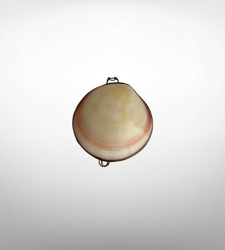 Vintage Handmade Clam Shell Trinket Holder with Brass Trim  Thimble or Jewelry Storage