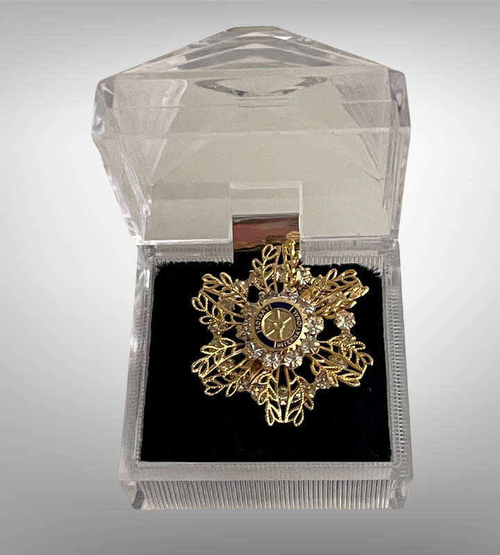 Rotary International 8-Piece Collection | Brooches, Pins, and Pendant | Gold Vermeil, Faux Diamond
