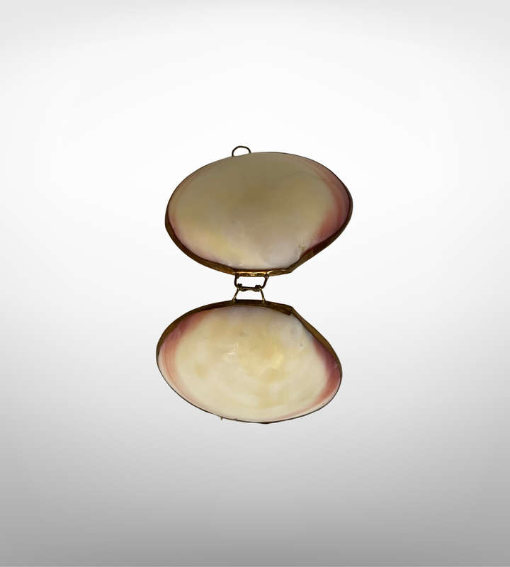 Vintage Handmade Clam Shell Trinket Holder with Brass Trim  Thimble or Jewelry Storage