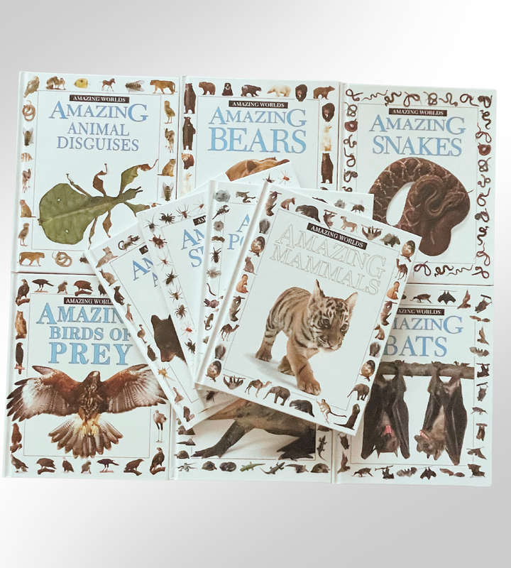 10-Piece Amazing World Book Set  Fun & Educational Childrens Wildlife Series