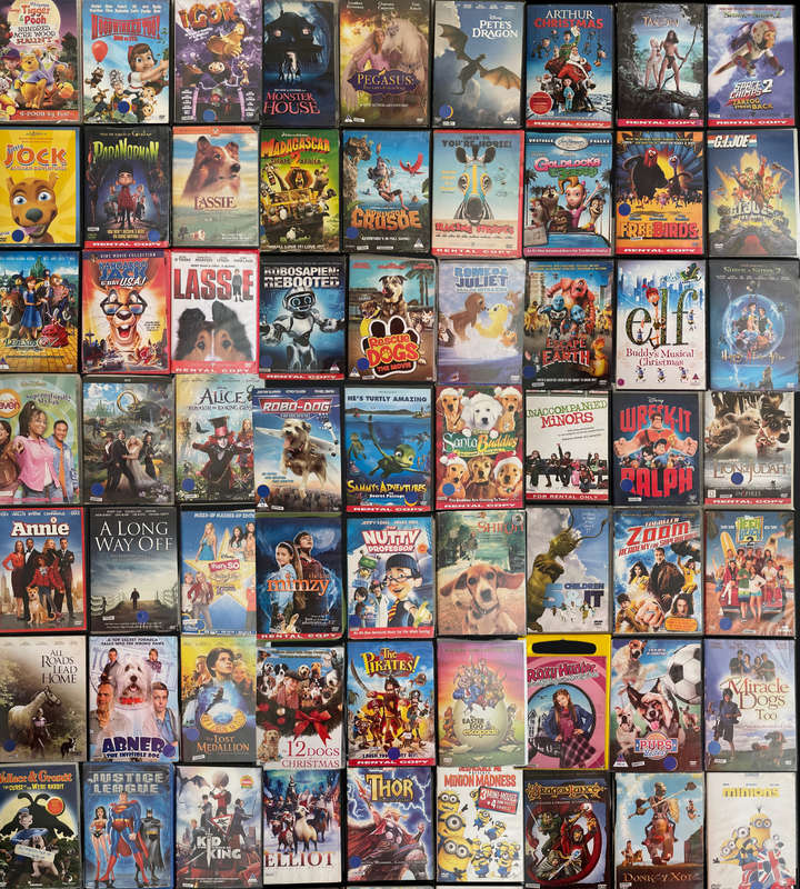 70+ Kids & Family DVD Bundle | Animated & Live-Action Favorites | Used