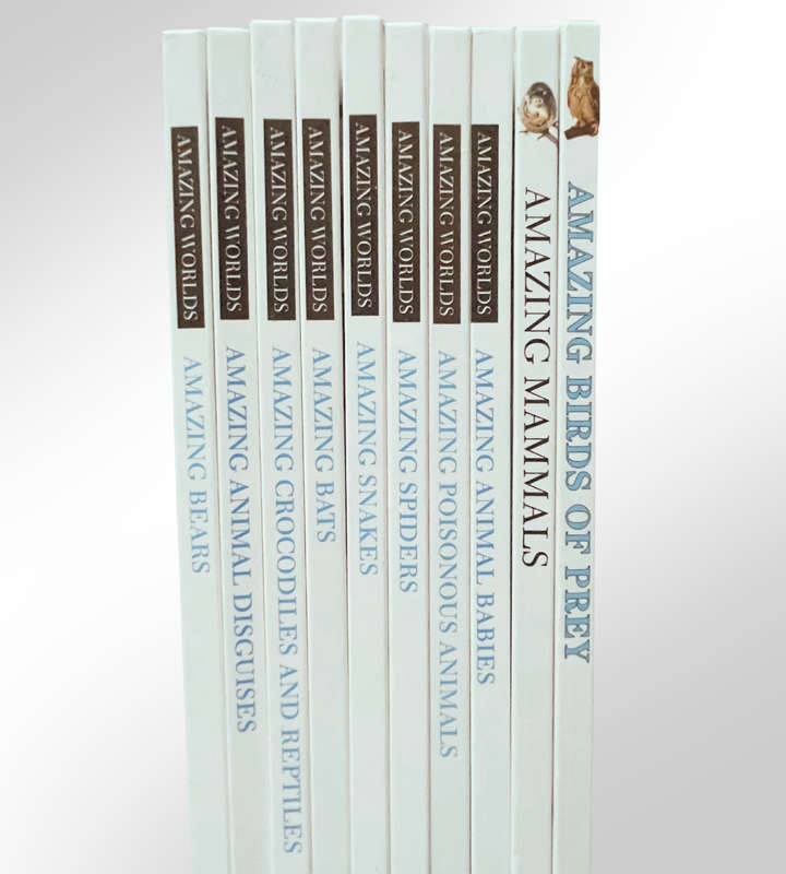 10-Piece Amazing World Book Set  Fun & Educational Childrens Wildlife Series