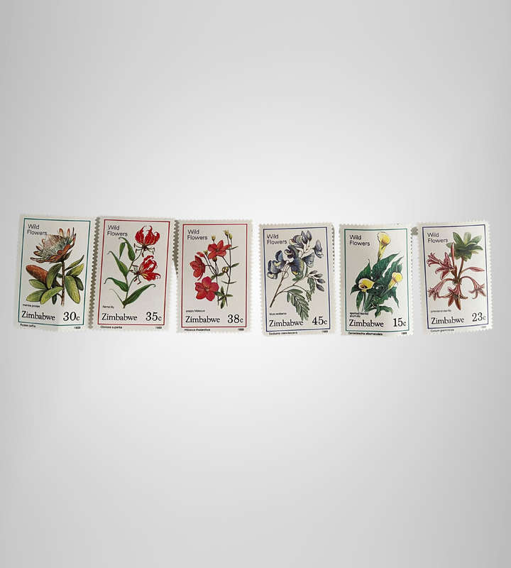 Zimbabwe Wildflower Stamps  1985 & 1989  MNH Blocks & Singles  252 Stamps Total