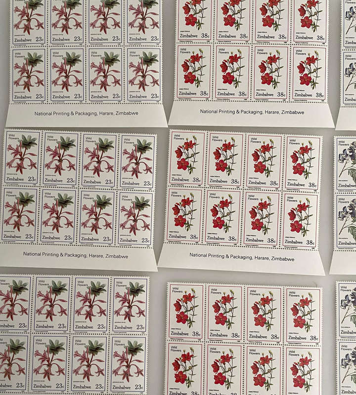 Zimbabwe Wildflower Stamps  1985 & 1989  MNH Blocks & Singles  252 Stamps Total