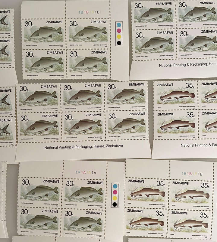 1989 Zimbabwe Fish Stamp Sheets  6 Denominations  Full Sets  234 MNH Stamps