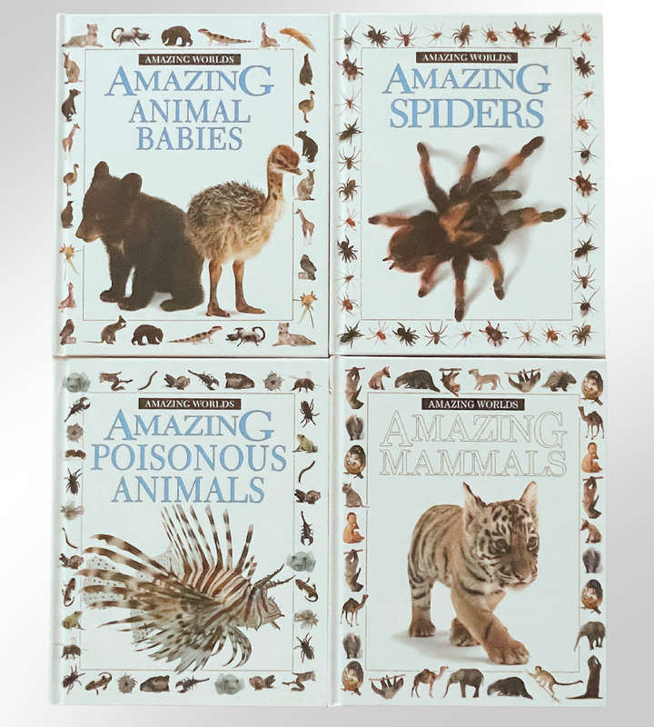 10-Piece Amazing World Book Set  Fun & Educational Childrens Wildlife Series