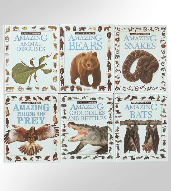 10-Piece Amazing World Book Set  Fun & Educational Childrens Wildlife Series