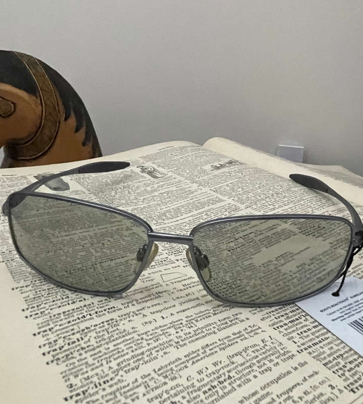 Reactolite Sunglasses