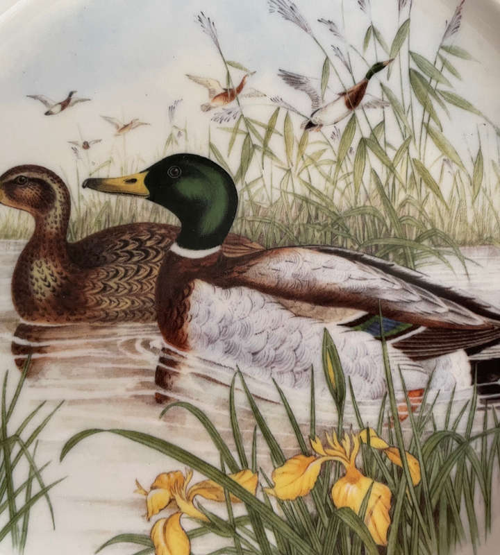 Vintage 1970s Huguenot Royale Mallard Ducks Rimmed Side Plate - 19.5 cm