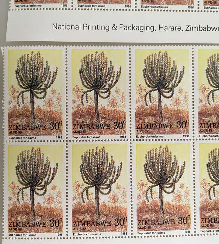 1988 Zimbabwe Aloe Stamp Lot  252 MNH Stamps  With Botanical Names  Blocks & Pairs