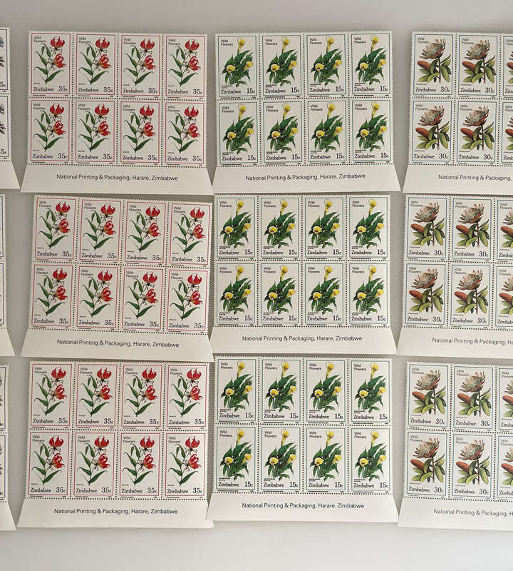 Zimbabwe Wildflower Stamps  1985 & 1989  MNH Blocks & Singles  252 Stamps Total