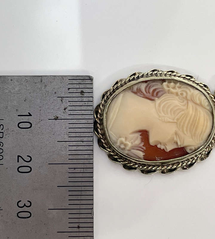 Vintage Cameo Pendant  Marked SILV, Gold-Tone, 39mm  Classic Lady Portrait- Reduced