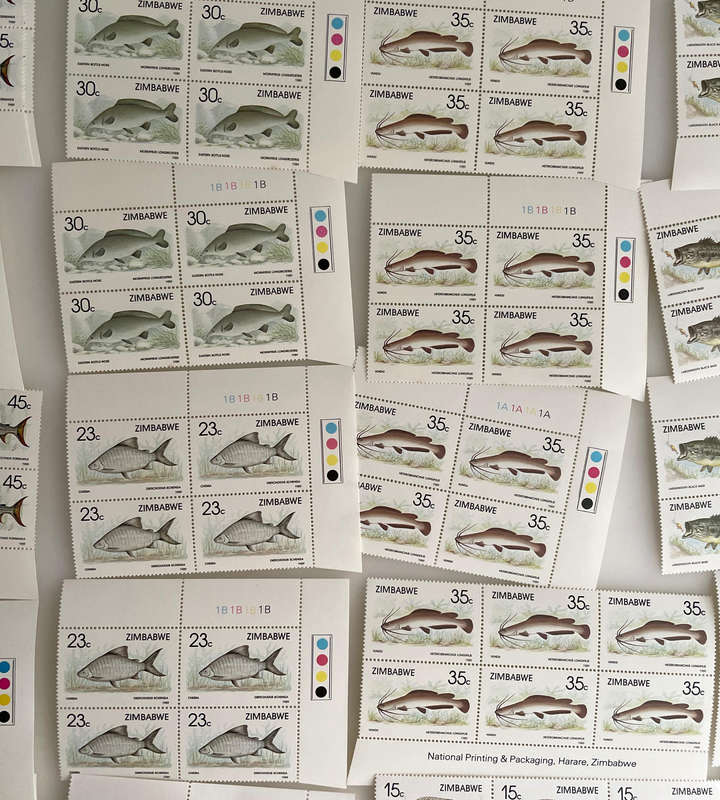 1989 Zimbabwe Fish Stamp Sheets  6 Denominations  Full Sets  234 MNH Stamps