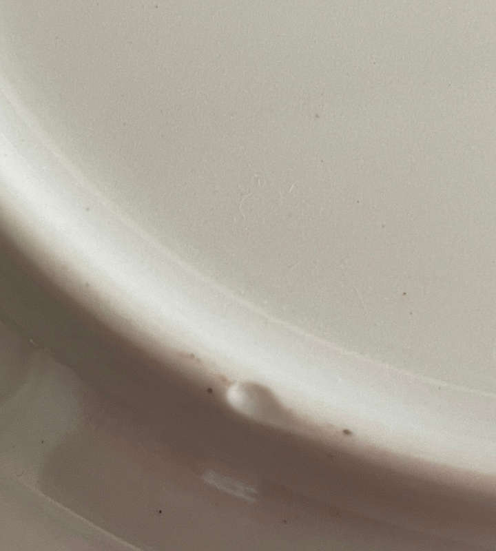 Vintage 1970s Huguenot Royale Mallard Ducks Rimmed Side Plate - 19.5 cm