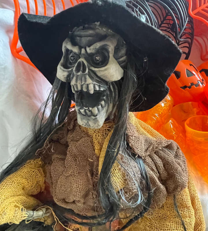 Massive Halloween Party Decoration Lot  The Ultimate Halloween Party Pack (Over R14,000 Value!)