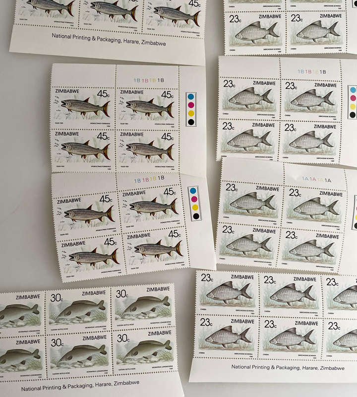 1989 Zimbabwe Fish Stamp Sheets  6 Denominations  Full Sets  234 MNH Stamps