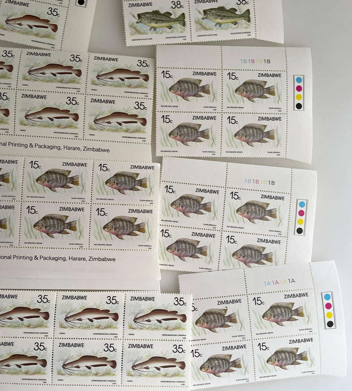 1989 Zimbabwe Fish Stamp Sheets  6 Denominations  Full Sets  234 MNH Stamps
