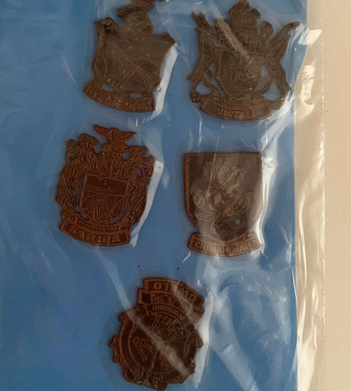 Huge Collection of 66+ Military & Police Pins, Badges & Medals  WWI, Rhodesia, South Africa- Reduced