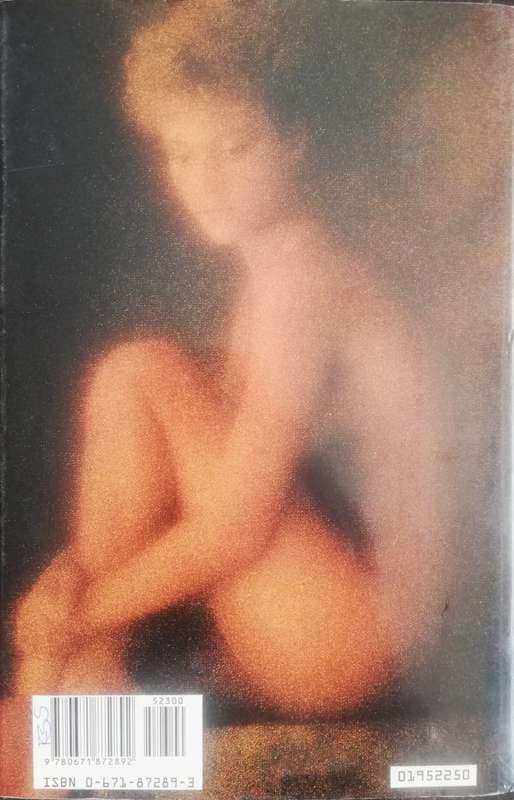 The Raiders by Harold Robbins (Hardback with Dust Cover)
