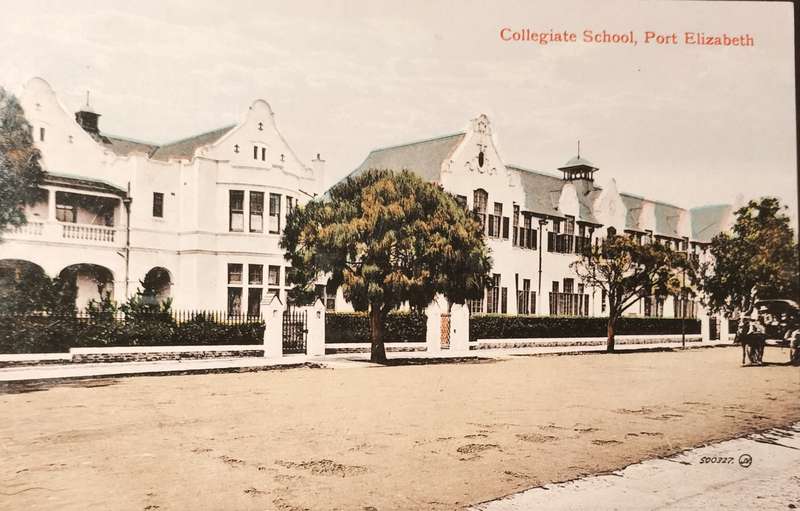 Vintage South African / Port Elizabeth Collegiate School  post card