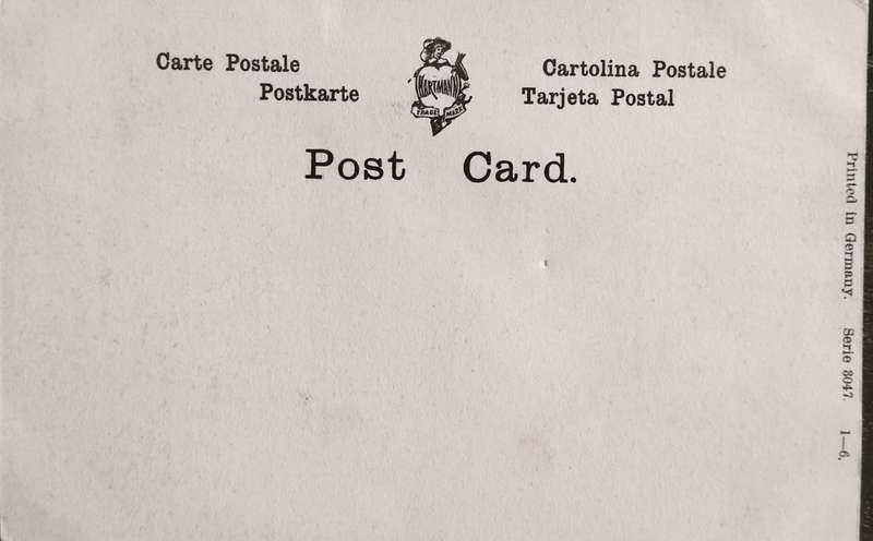 Unused post card - Elegant lady