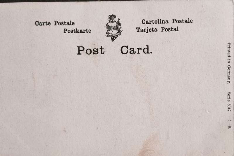 Unused post card - Elegant lady